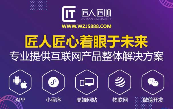 鹤岗小程序和视频号结合的作用